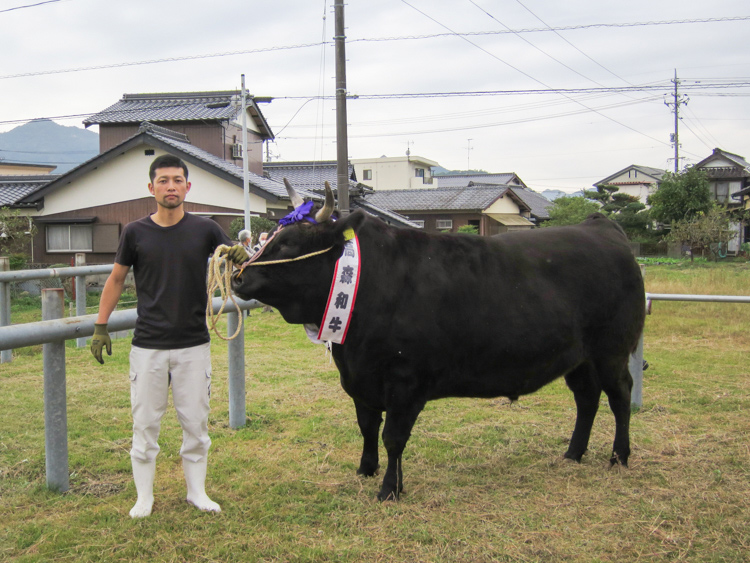 最優秀賞に輝いた高森牛